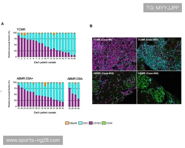 TES在世界大师赛中的状态分析与表现评估
