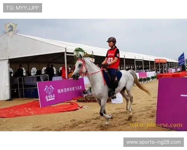 上海足球队在全国耐力排行榜中荣获第八名展现出强大实力与潜力